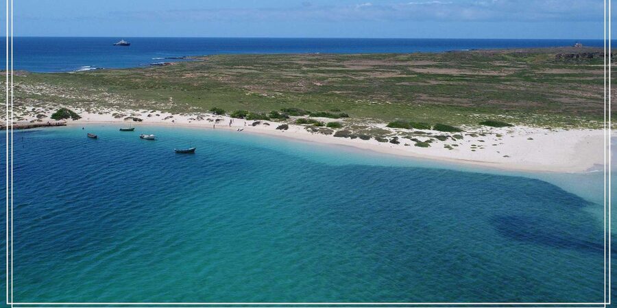 Boa Vista: Motoryacht Trip with Fishing, Snorkel, Beach BBQ - Is the $111 price good value?