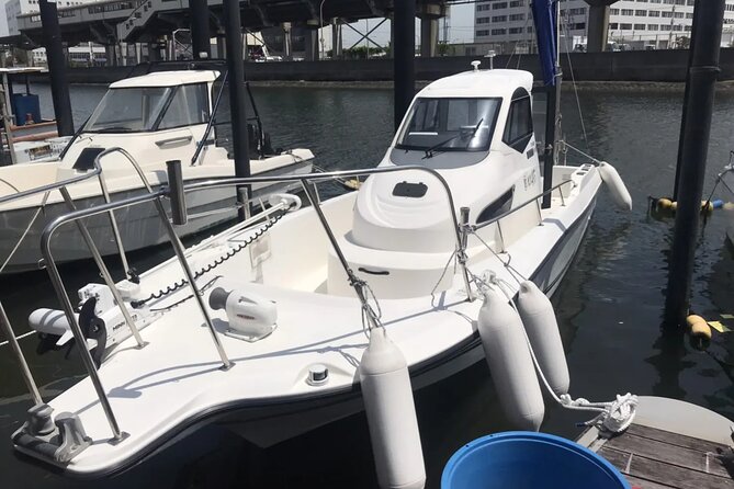 Boat Fishing Activity in Central Tokyo - Family suitability, group size, and comfort