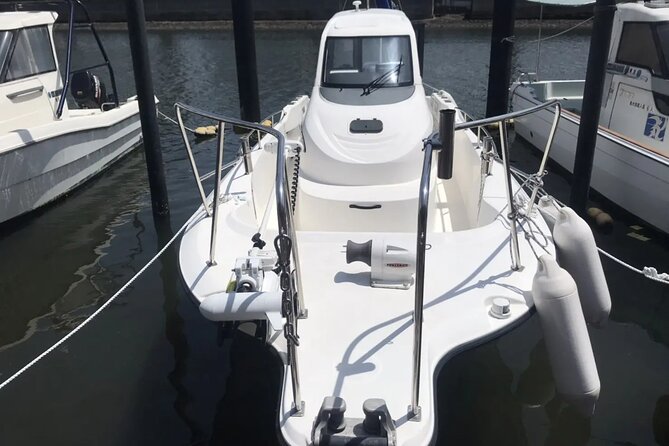 Boat Fishing Activity in Central Tokyo - Rain, cancellation, and practical planning