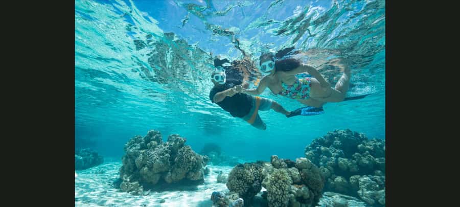Bora Bora: Snorkeling and Fishing Tour with Lunch Option - Why this Bora Bora boat trip is different