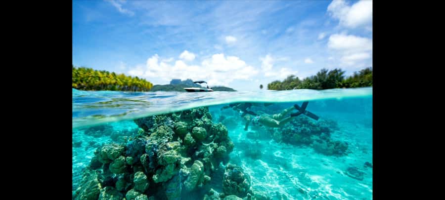 Bora Bora: Snorkeling and Fishing Tour with Lunch Option - Meeting Alex at the dock
