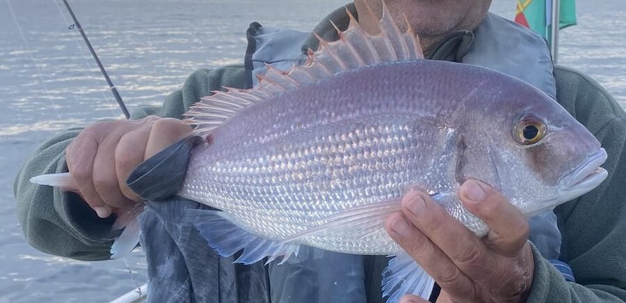 Bottom Fishing Lagos - Four hours of fishing from Lagos Marina