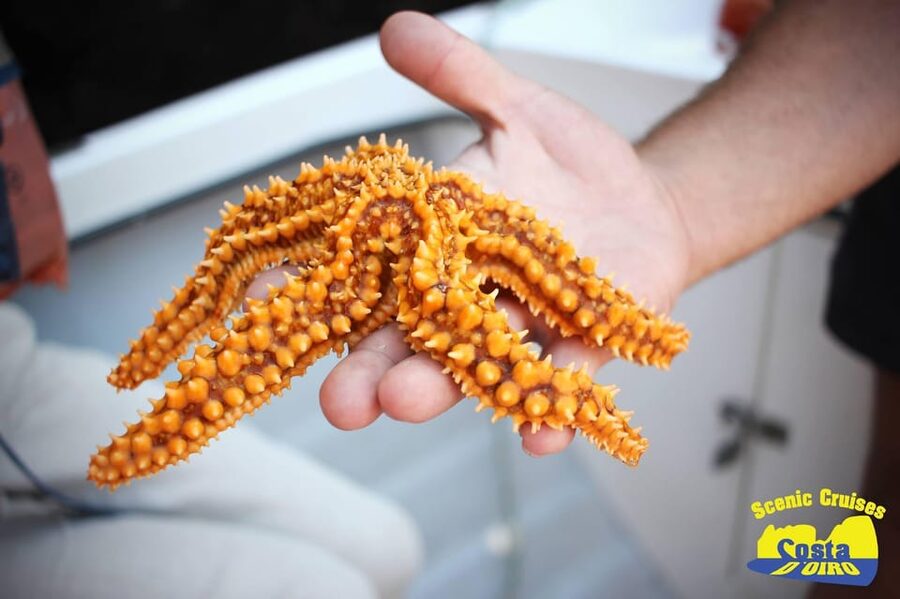 Bottom Fishing Lagos - Finding the fish around the Algarve coast