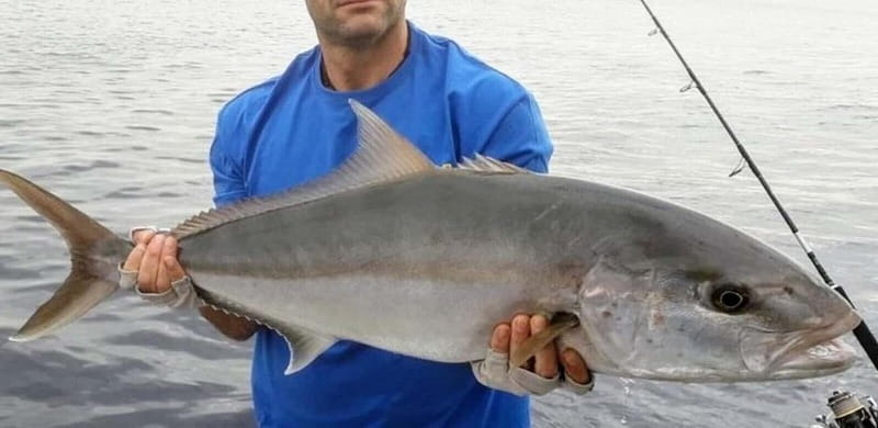 Bottom fishing & light trolling Puerto Calero, Lanzarote - Languages, group size, and booking flexibility