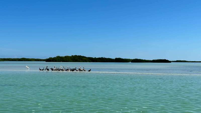 Cabo Catoche Snorkel And Fishing - Key points to know before you go