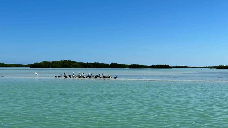 Cabo Catoche Snorkel And Fishing - Beach ceviche gives the half-day a local finish