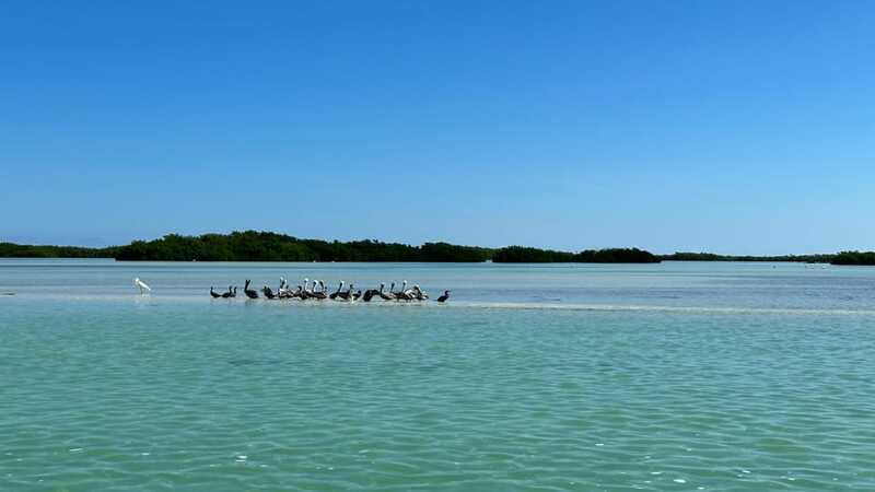Cabo Catoche Snorkel And Fishing - Should you book Cabo Catoche Snorkel and Fishing?