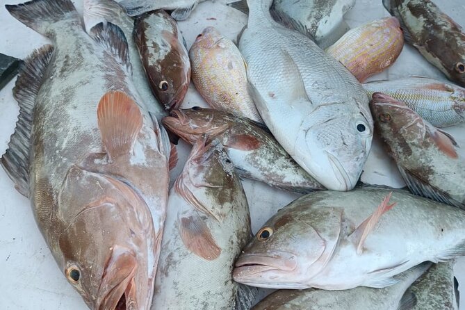 Cabo Catoche Tour with Fishing, Snorkeling and Ceviche - Weather, cancellation, and what to clarify