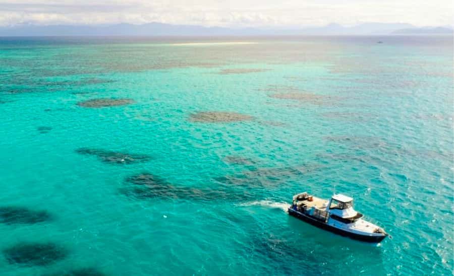 Cairns: Great Barrier Reef Fishing Charter with Lunch - A serious fishing day from Cairns