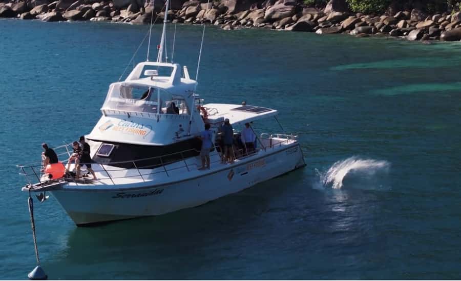 Cairns: Great Barrier Reef Fishing Charter with Lunch - Should you book the Cairns reef fishing charter?