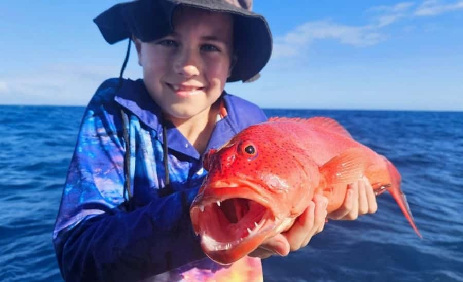 Cairns: Great Barrier Reef Fishing Charter with Lunch - What you may catch on the line