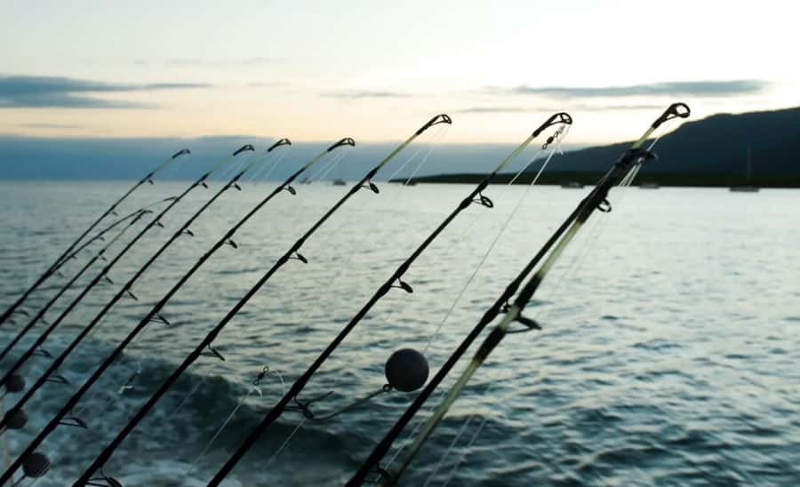 Cairns: Great Barrier Reef Fishing Charter with Lunch - Crew help without taking over