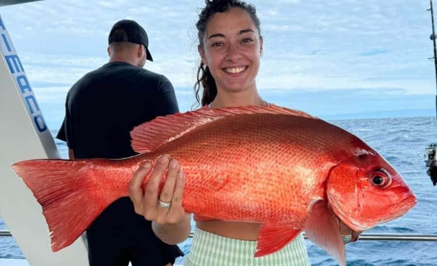 Cairns: Great Barrier Reef Fishing Charter with Lunch - The long run to the reef grounds