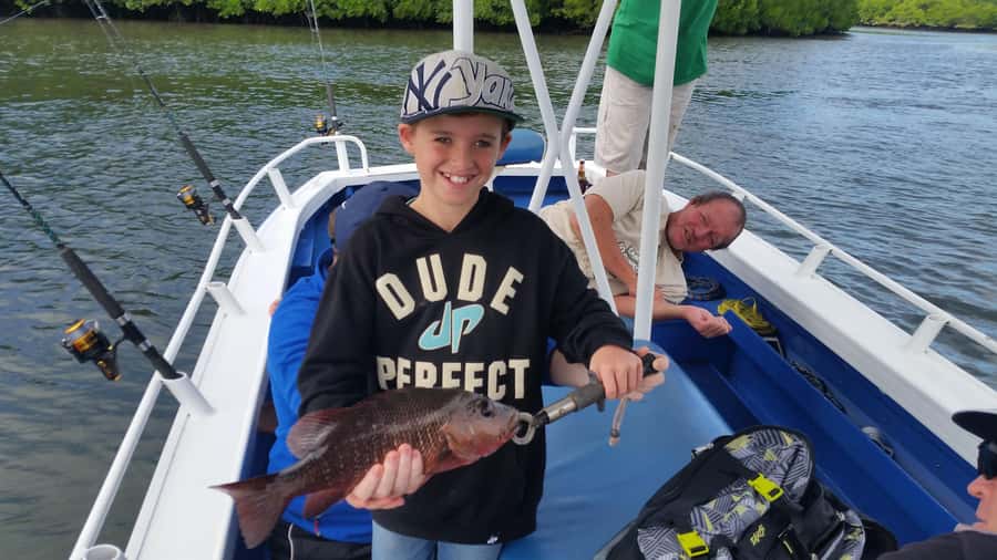 Cairns: Morning Estuary Fishing Charter - The species you might be hoping to catch