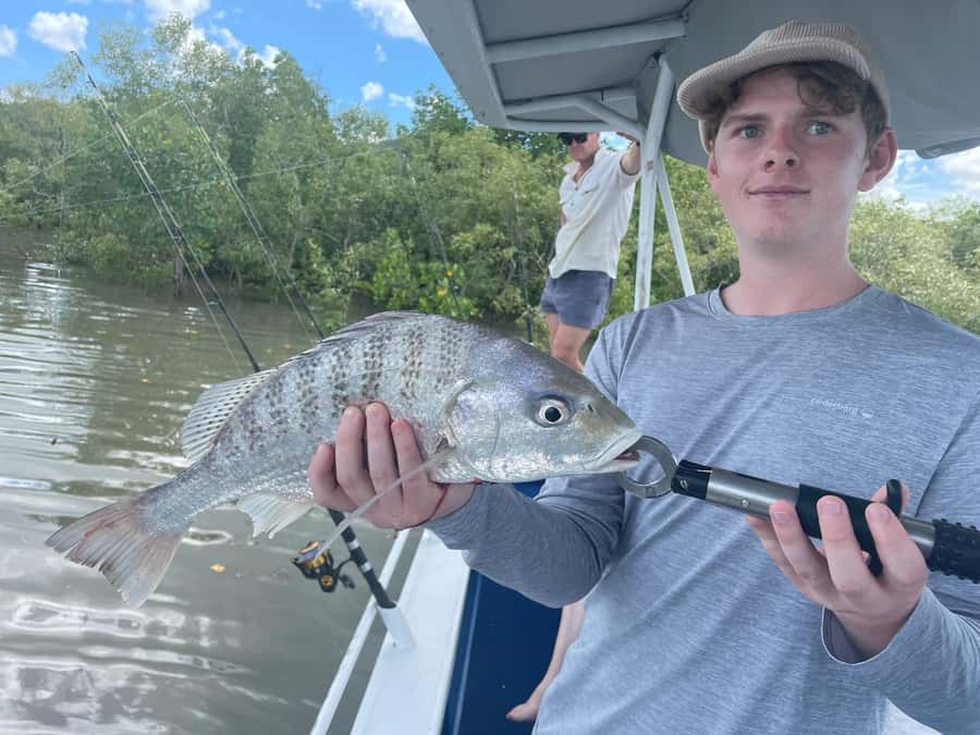 Cairns: Morning Estuary Fishing Charter - Is $106 a fair price?