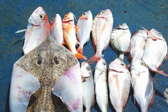 Capri Fishing Excursion with Snorkeling and Lunch from Sorrento - Key points to know before you book