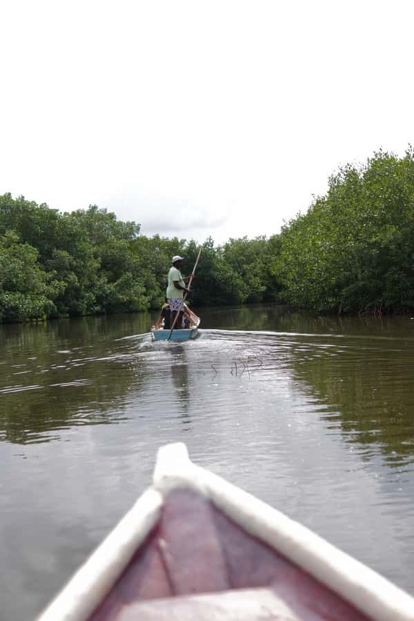 Cartagena: Artisanal fishing through the mangroves - Why Cartagena’s mangroves deserve your time