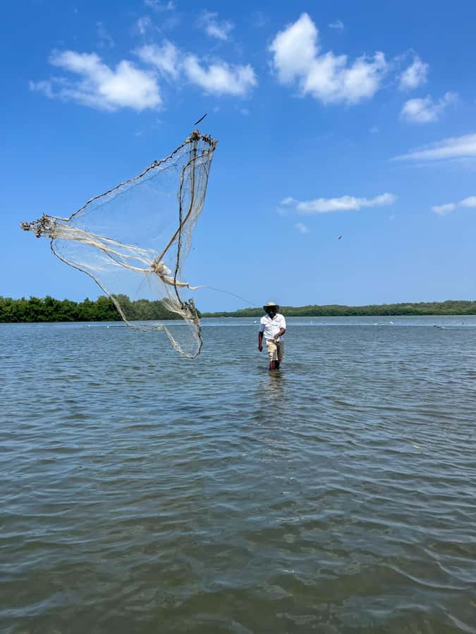 Cartagena: Artisanal fishing through the mangroves - Learning what the mangroves protect