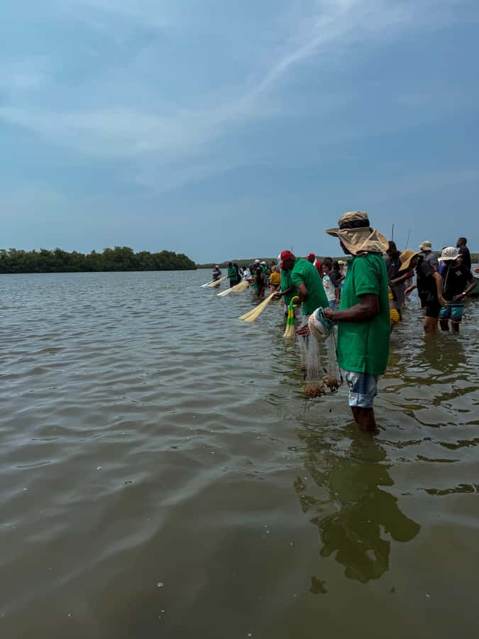 Cartagena: Artisanal fishing through the mangroves - Casting a net like a local