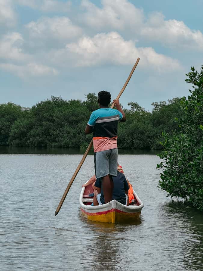 Cartagena: Artisanal fishing through the mangroves - Starting near the Historic Center