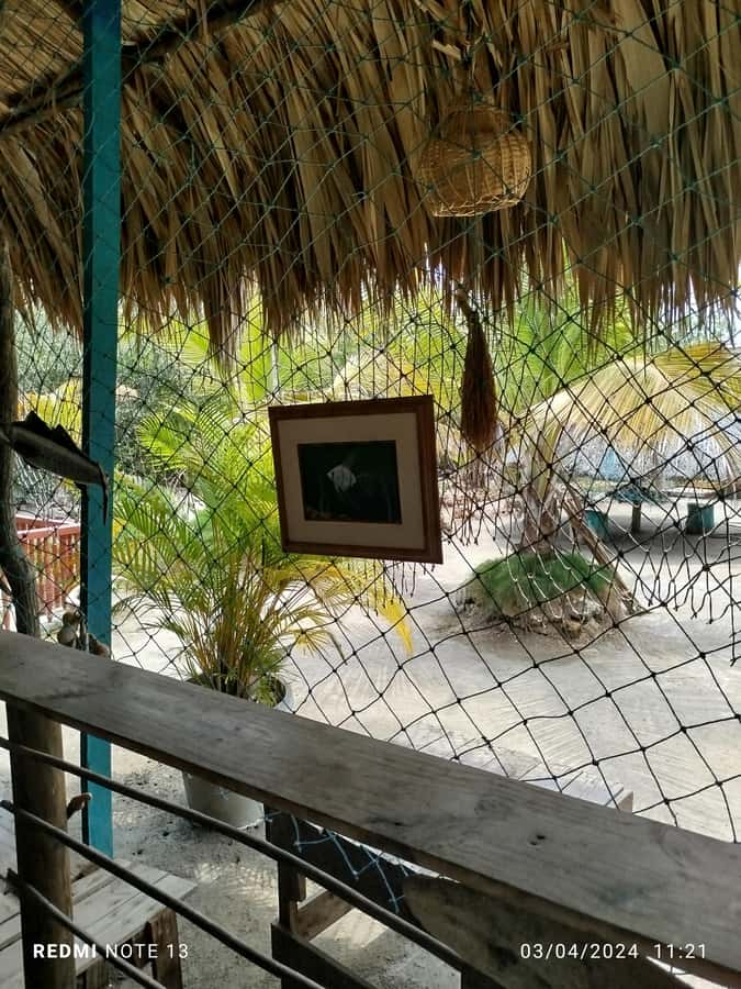 Cartagena: FISHERMEN'S ISLAND IN THE MANGROVES by canoe - Why this canoe trip feels different from Cartagena’s city tours