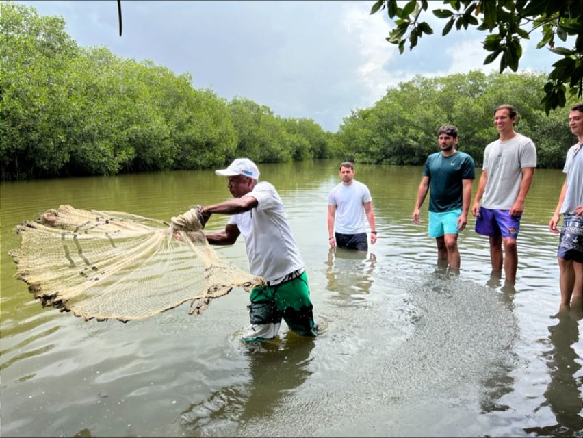 Cartagena Fishing, Crabbing, Birdwatching Experience + Lunch - Birdwatching among more than 300 species