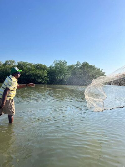 Cartagena: Mangrove Eco Tour & Fishing with Transportation