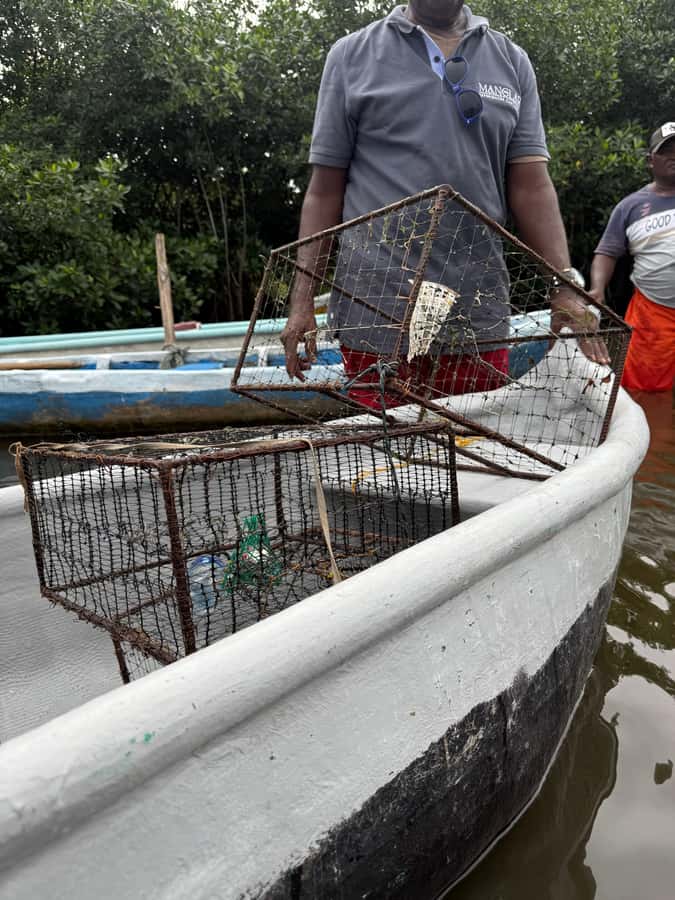 Cartagena: Mangrove Eco Tour & Fishing with Transportation - Learning to cast a net and catch crabs