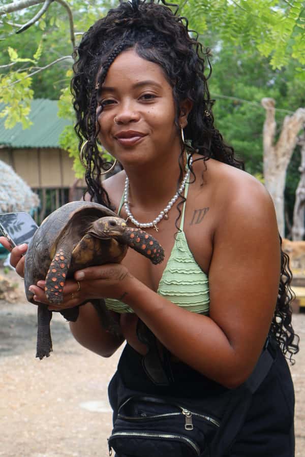 Cartagena: Mangrove Eco Tour & Fishing with Transportation - The viewpoint and the return to Cartagena