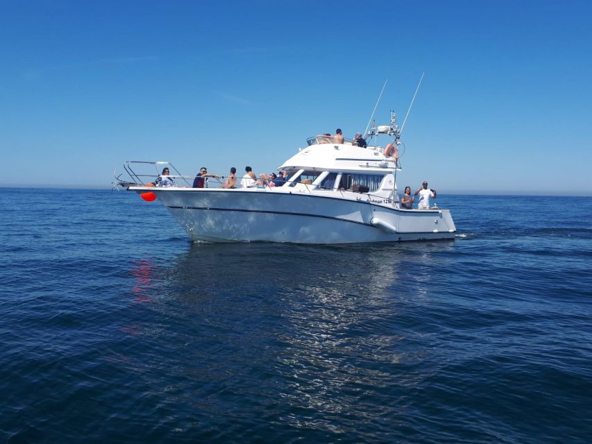 Cascais Deep-Sea Fishing Trip - Catching fish, and deciding what to do with it