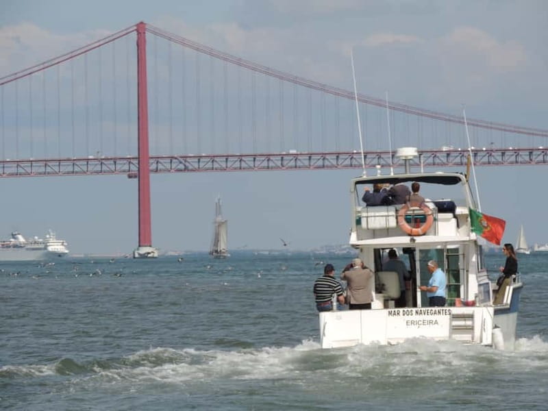 Cascais: Half-Day Fishing Trip - The catch and what you can do with it