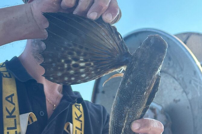 Cefalu: Boat Trip with Fishing, Coastal Tour and Lunch on Board - Practical details at the port