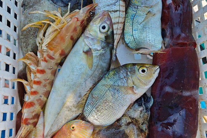 Cefalu: Boat Trip with Fishing, Coastal Tour and Lunch on Board - Two and a half hours at Saint Lucia