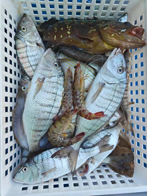 Cefalù: boat trip with fishing, coastal tour, snorkeling, and lunch on board - Should you book it?
