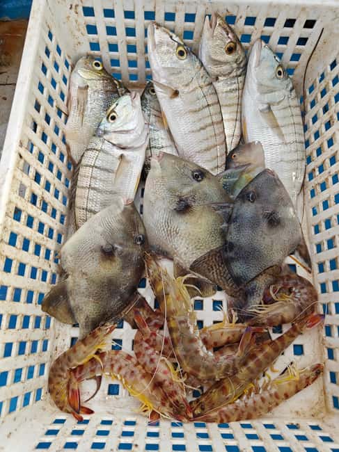 Cefalù: boat trip with fishing, coastal tour, snorkeling, and lunch on board - Timing, weather, and the return to Cefalù