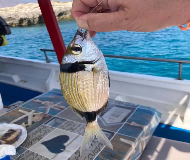 Chania: Fishing Boat Trip with Breakfast and Swim - Trolling and the changing fishing spots