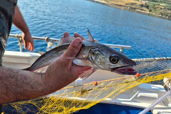 Chania Fishing with Nets Catch and Cook with a Local Fisherman - A Fishing Morning That Becomes Lunch