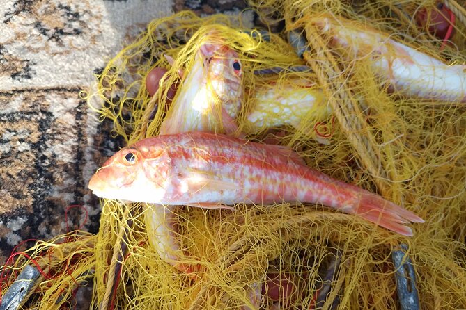 Chania Fishing with Nets Catch and Cook with a Local Fisherman - The Human Side of the Experience