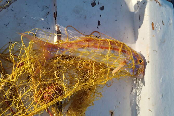 Chania Fishing with Nets Catch and Cook with a Local Fisherman - What the Six-Hour Schedule Means for You