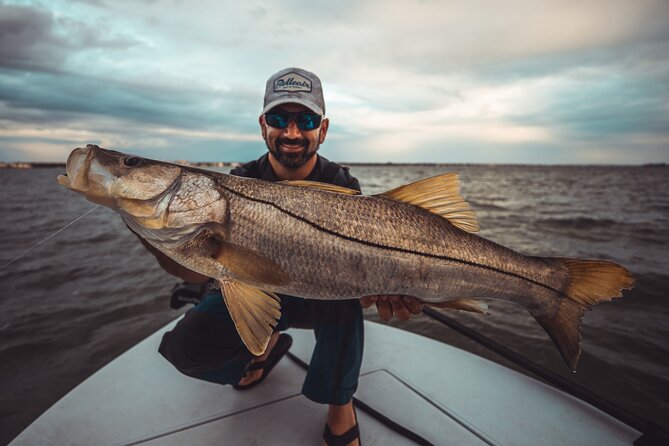 Clearwater Beach Fishing Charter! Half Day of Fishing Fun on the water!!!!! - Wildlife and the Pleasure of Trying More Than One Spot