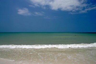 Clearwater Inshore Fishing Charter