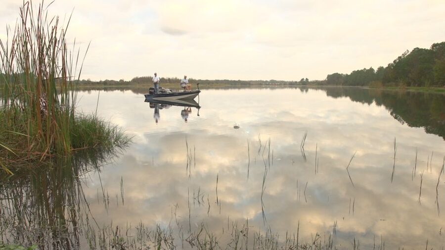 Clermont: Trophy Bass Fishing Experience with Expert Guide - What the captain adds to the outing
