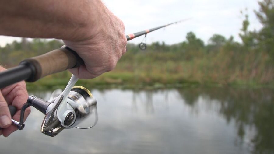 Clermont: Trophy Bass Fishing Experience with Expert Guide - Is $325 good value for two people?
