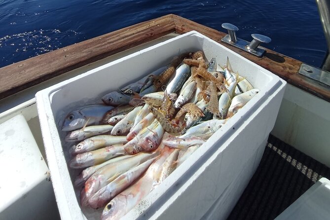 Corfu Private Fishing Cruises - Booking, weather, and cancellation details