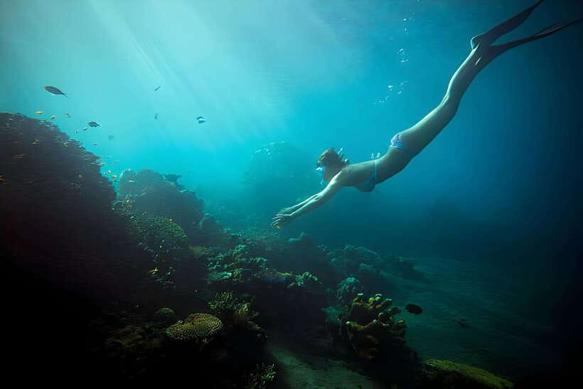 Da Nang: Son Tra Peninsula Exploration - Snorkeling, Fishing - Is $44 good value?