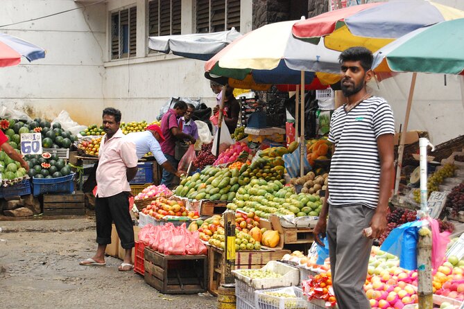 Day out to Galle[Stilt Fishing. Turtle watching.Cinnamon Farm] - Stilt fishing, a short look at coastal tradition