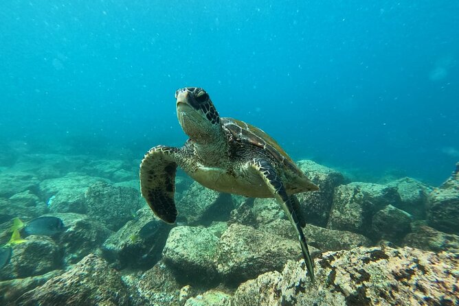 Day Tour to Floreana Island with Snorkeling and Fishing - Why Floreana makes a worthwhile day from Santa Cruz