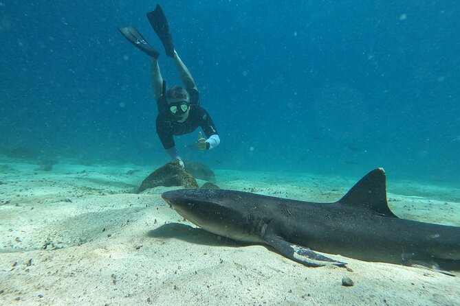 Day Tour to Santa Fe Island and Hidden Beach with snorkeling and fishing - The snorkeling conditions deserve respect