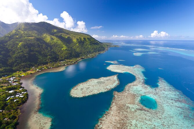 DEEP SEA FISHING 1/2 day (private group) - What you may catch around Tahiti