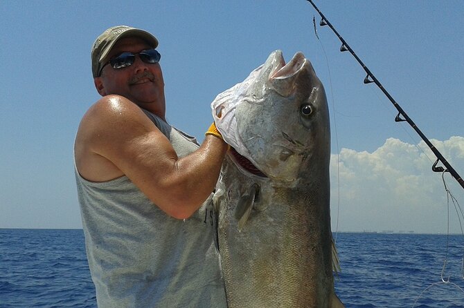 Deep sea fishing charters in Fort Lauderdale aboard 52' Hatteras - Kite fishing and the chance at a sailfish